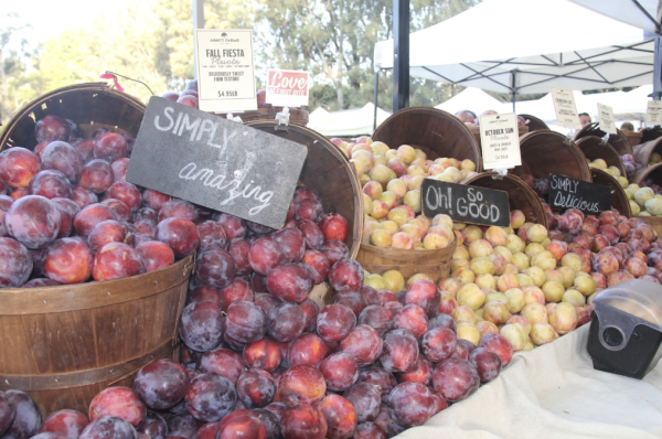 A medley of fresh pluots are sold at the Irvine farmers market. 